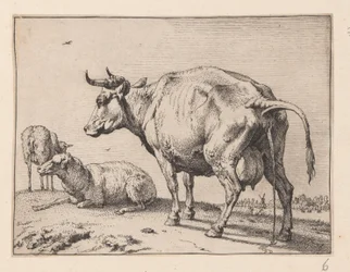 La vaca que mea, de Varios bueyes y vacas