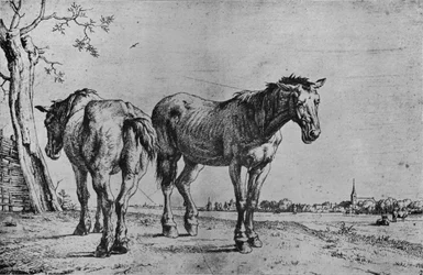 Los dos caballos de arado