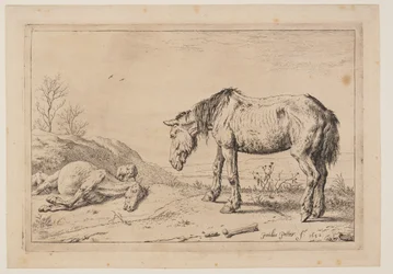 El caballo gastado, (La Mazette), de Serie de caballos
