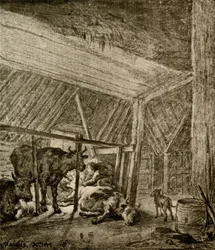 La vaca pariendo