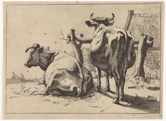 Dos vacas vistas desde atrás El folleto de Bullen (título de la serie)