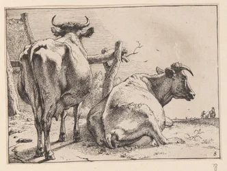 Dos vacas vistas desde atrás, de Varios bueyes y vacas