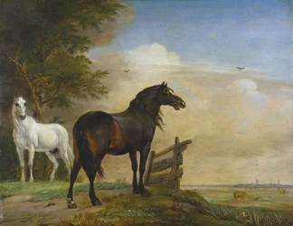 Dos caballos cerca de una puerta en el prado