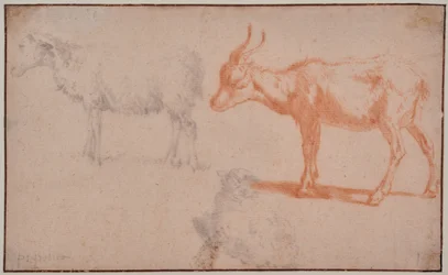 Dos ovejas y una cabra (estudios sobre animales)