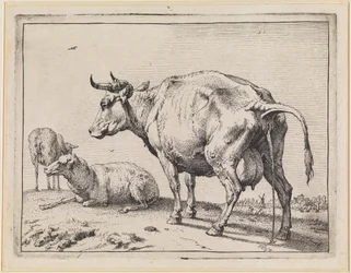Vaca orinando