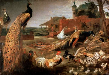 «Cuervo con plumas de pavo real», ca. 1615-1690