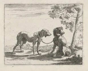 Dos perros Perros (título de la serie)