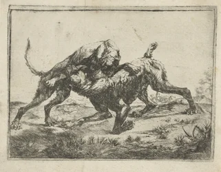 perros de pelea