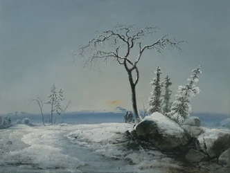 Desde Finnmarks