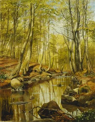 Paisaje fluvial boscoso