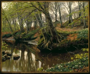 Día de primavera en el borde del bosque