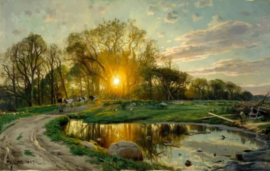 Regreso de las vacas al atardecer