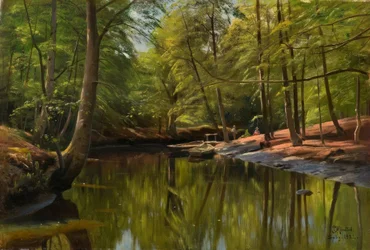 Día de verano en el arroyo del bosque