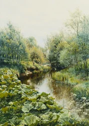 Día de verano en el arroyo