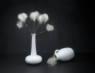 Blanco sobre negro.