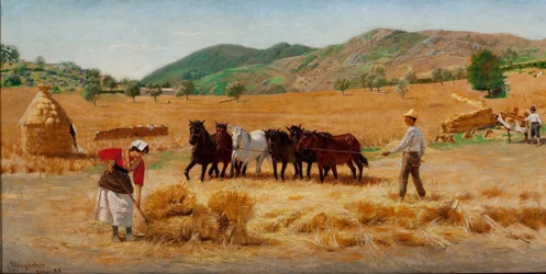 Cosecha en Anticoli