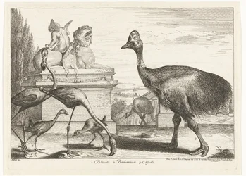 Casuarios, fochas moradas y flamencos 1. Bleuets 2 Becharoux 3. Casuels (título sobre objeto) Birds from the Menagerie of Versailles (título de la serie)