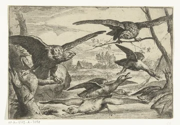 techovogels Aves diferentes (título de la serie)