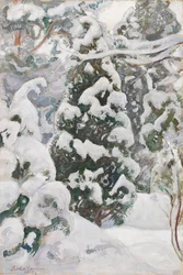 Enebro en la nieve