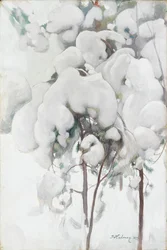 Plantones de pino cubiertos de nieve