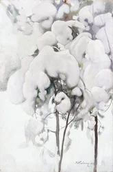 Pinos jóvenes cubiertos de nieve