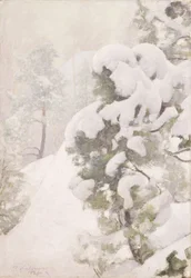 Paisaje invernal
