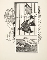 Un canario caritativo, de Cien anécdotas de animales, pub. 1924