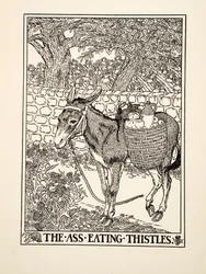 El Asno Comiendo Cardos, de Cien Fábulas de Esopo, pub.1903