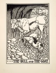 El Toro y la Cabra, de Cien Fábulas de Esopo, pub.1903