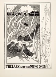La alondra y sus crías, de Cien fábulas de Esopo, pub. 1903 (grabado)