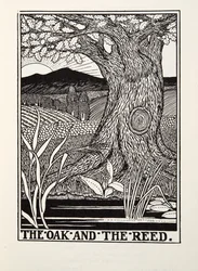El Roble y el Junco, de las Fábulas de Fontaine, pub. 1905