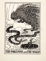 El Puercoespín y las Serpientes, de Cien Fábulas de Esopo, pub.1903