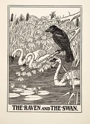 El cuervo y el cisne, de Cien fábulas de Esopo, publicado en 1903
