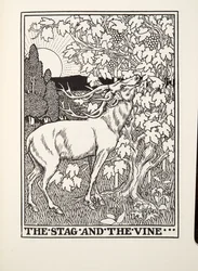 El ciervo y la vid, de Fábulas de Fontaine, pub. 1905