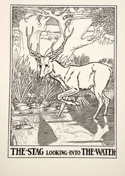 El ciervo mirando al agua, de Cien fábulas de Esopo, pub.1903 (grabado)