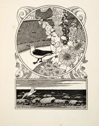 La gaviota domesticada, de Cien anécdotas de animales, pub. 1924 (grabado)