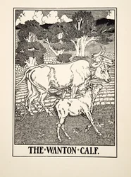 El Ternero Lujurioso, de Cien Fábulas de Esopo, pub.1903