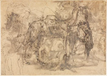 Bocetos de animales verso, c. 1545-1547