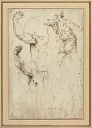 Estudio de un desnudo visto de espaldas y dos estudios de un brazo (anverso); desnudo visto de espaldas, con estudios secundarios de un hombro y una pierna (reverso)