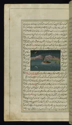 Un ganso y el reflejo de la luna en el agua de Luces de Canopus