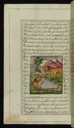 Un león malvado, engañado por una liebre, mira en un pozo y ve su reflejo de Luces de Canopus
