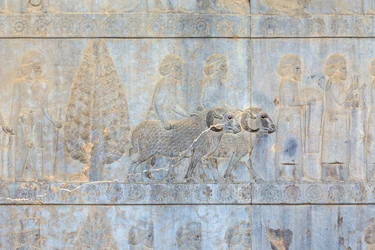 Bajorrelieves en los muros del palacio y la escalinata de Apadana, Persépolis, Irán (arenisca)