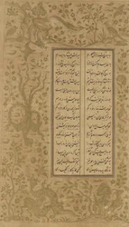 Diseño de vid y pájaro, folio de Yusuf u-Zulaikha de Jami (d. 1492) Qazvin, Irán, dinastía Safávida, 1557