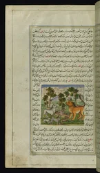 León y otros animales de Luces de Canopus