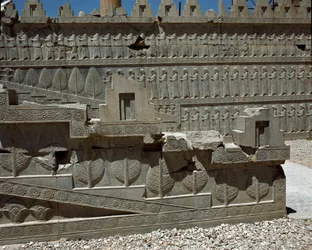 Relieves de la escalera oriental de la Apadana, siglo VI a.C.