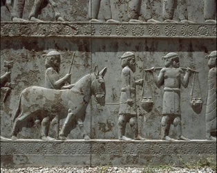 Pueblos sometidos traen regalos a Darío I. Relieves de la escalera oriental de la Apadana, siglo VI a.C.