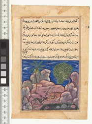 Cuento XV, El gato ataca a los ratones que molestan al león, ilustración del "Tuti-Nama", c. 1560. India, Mughal, Reinado de Akbar, siglo XVI