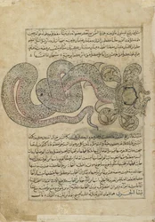 El dragón-serpiente marina (al-Tannin), folio del Ajaib al-makhluqat (Maravillas de la Creación) de al-Qazvini