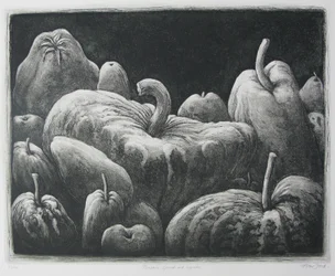 Calabazas y calabacines