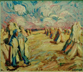 Campo de cosecha